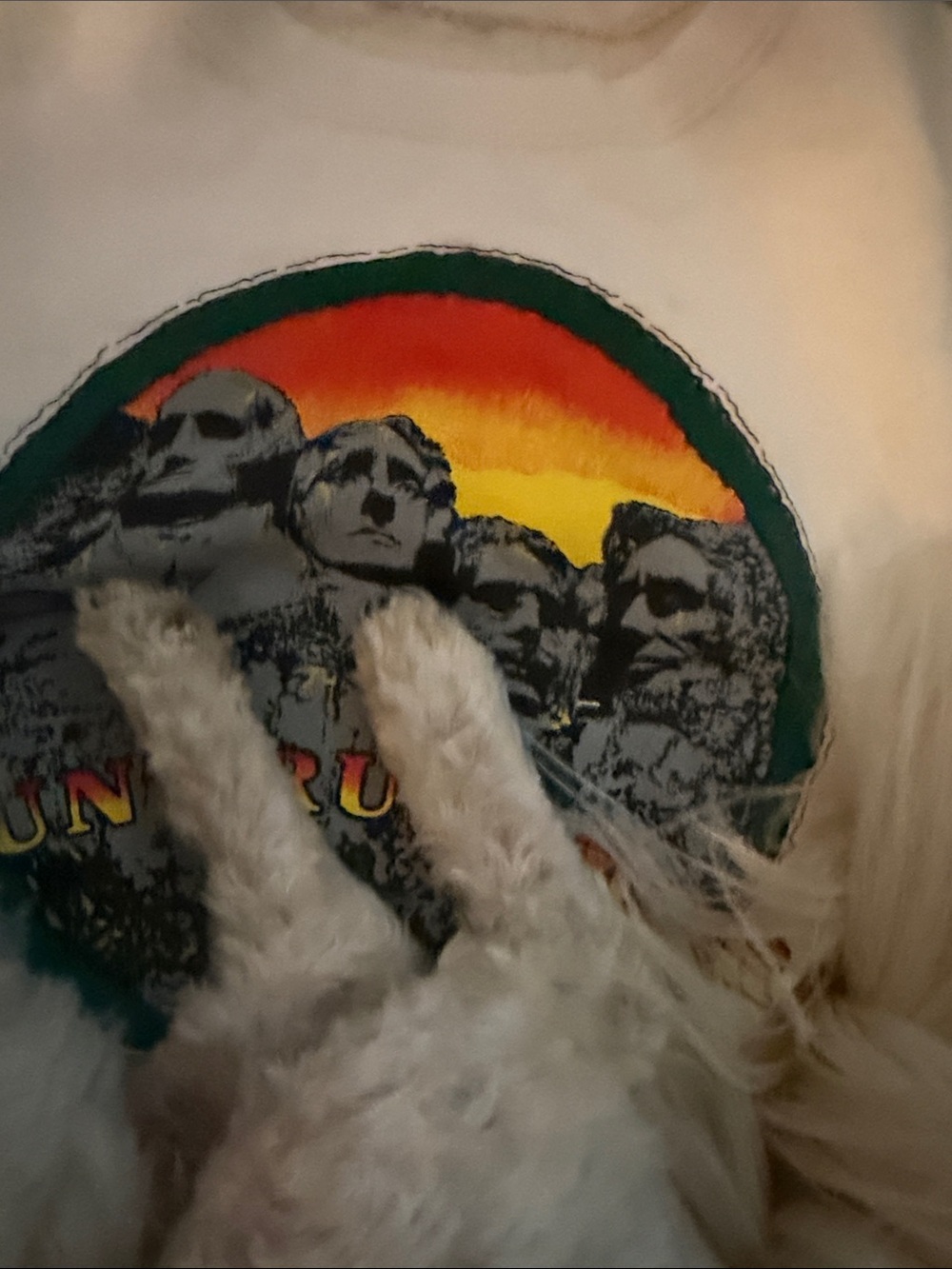 Mt Rushmore Sweatshirt with Rainbow Patch